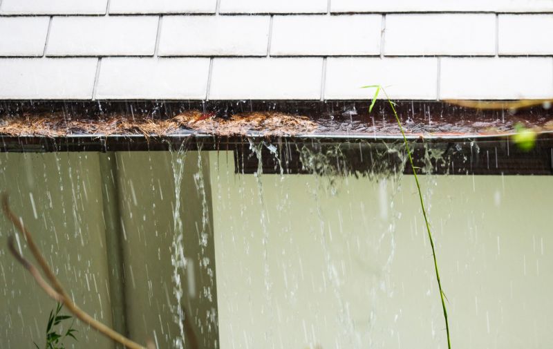 Gutter Blockage Removal