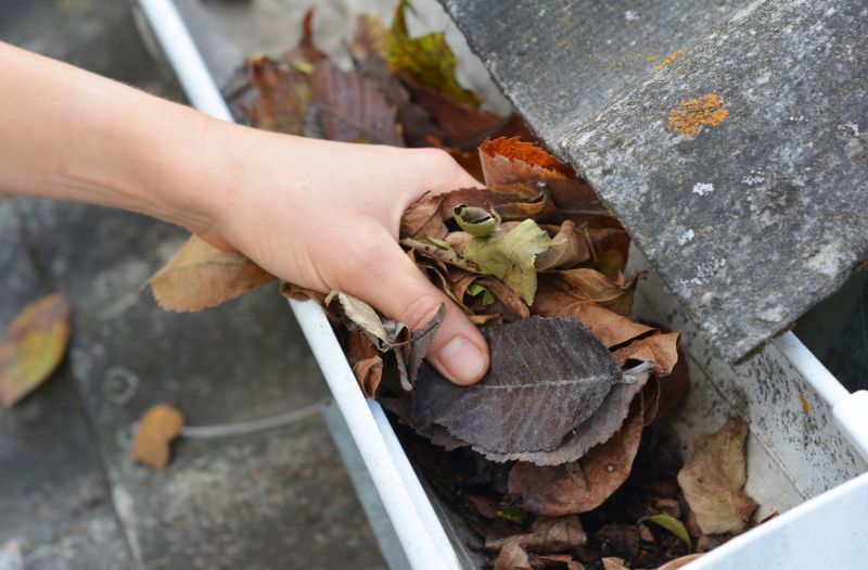 Clogged Gutter Inspection