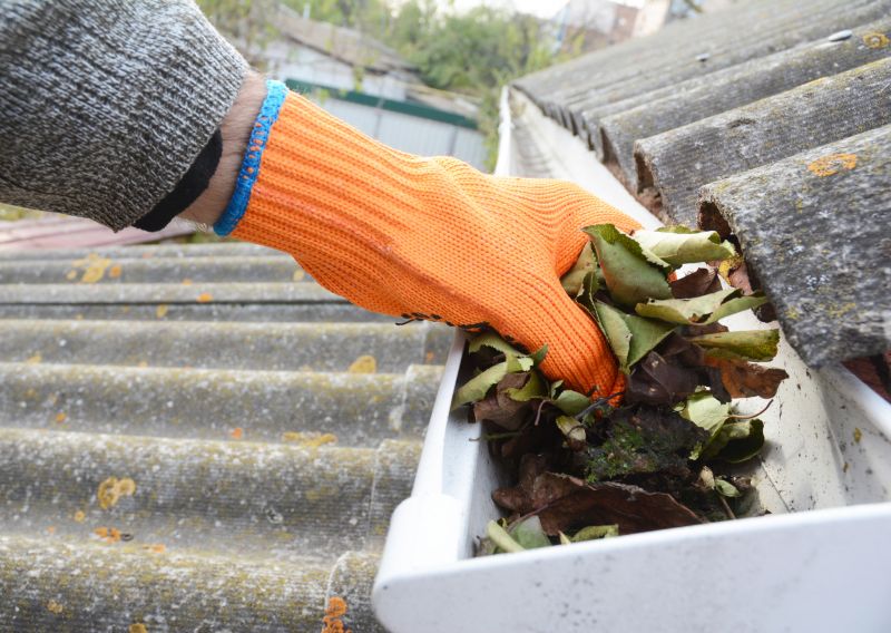 Pine Needle Gutter Cleaning