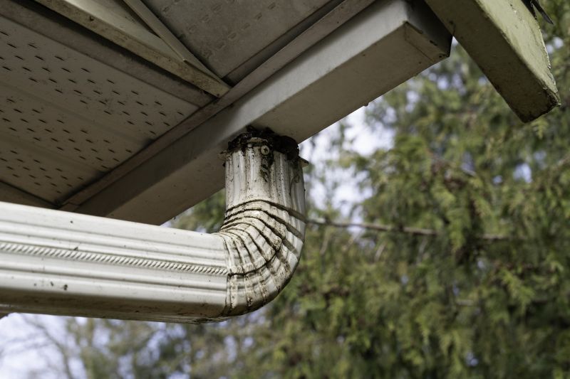 Rainwater Downspout Cleaning