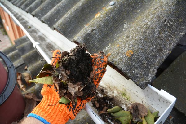 Seamless Gutter Cleaning in Ellicott City