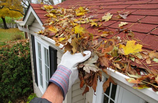 Emergency Gutter Cleaning in Ellicott City