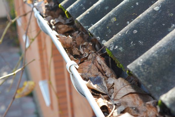 Home Gutter Cleaning in Ellicott City