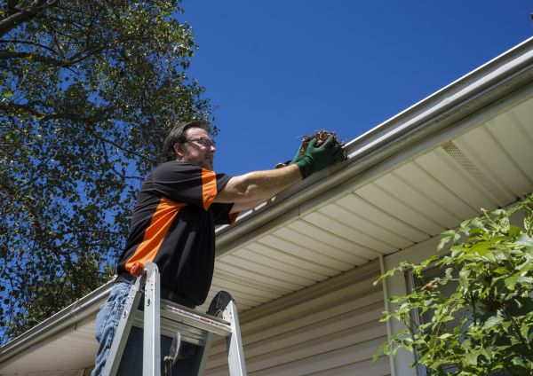 Building Gutter Cleaning in Ellicott City