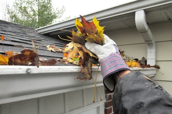 House Gutter Cleaning in Ellicott City