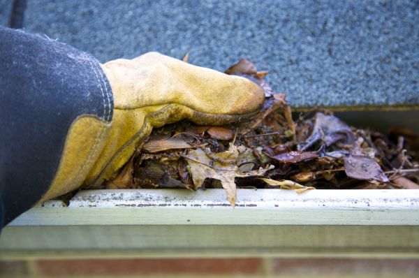 Jammed Gutter Cleaning in Ellicott City