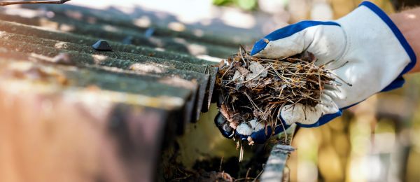 Pine Needle Gutter Cleaning in Ellicott City